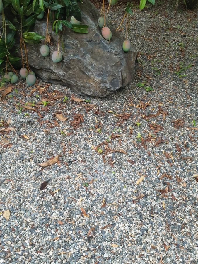 Travellers Paradise Cairns Eksteriør bilde Gravel