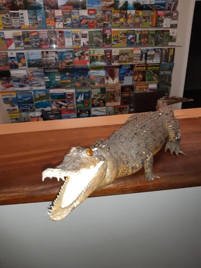Travellers Paradise Cairns Eksteriør bilde A model of a saltwater crocodile