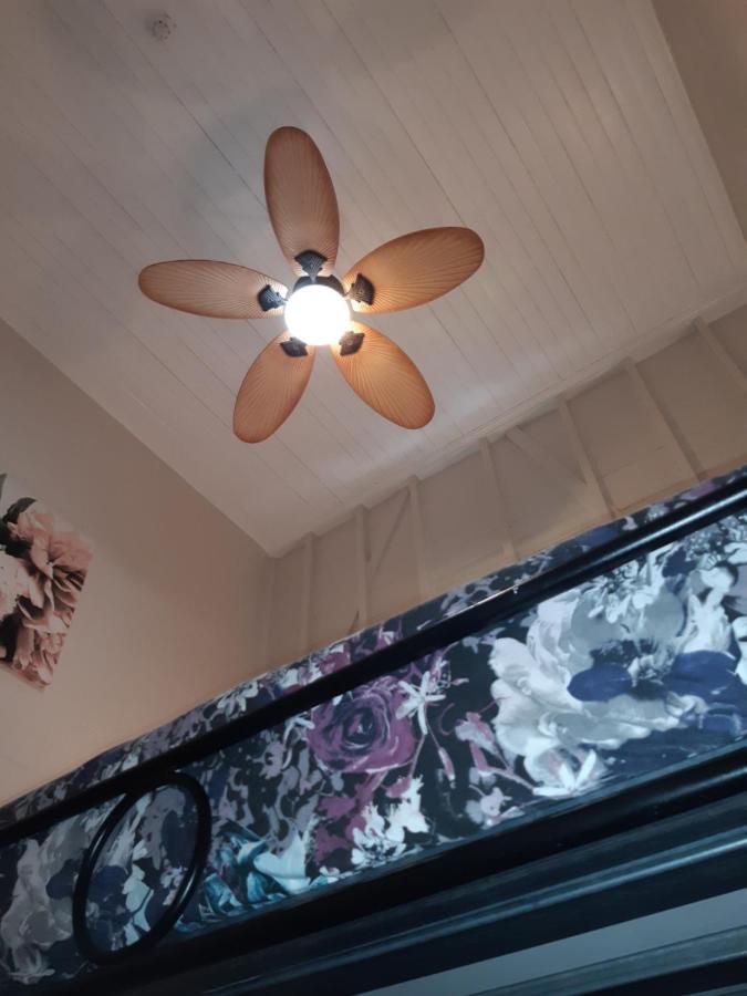Travellers Paradise Cairns Eksteriør bilde A ceiling fan with a light kit