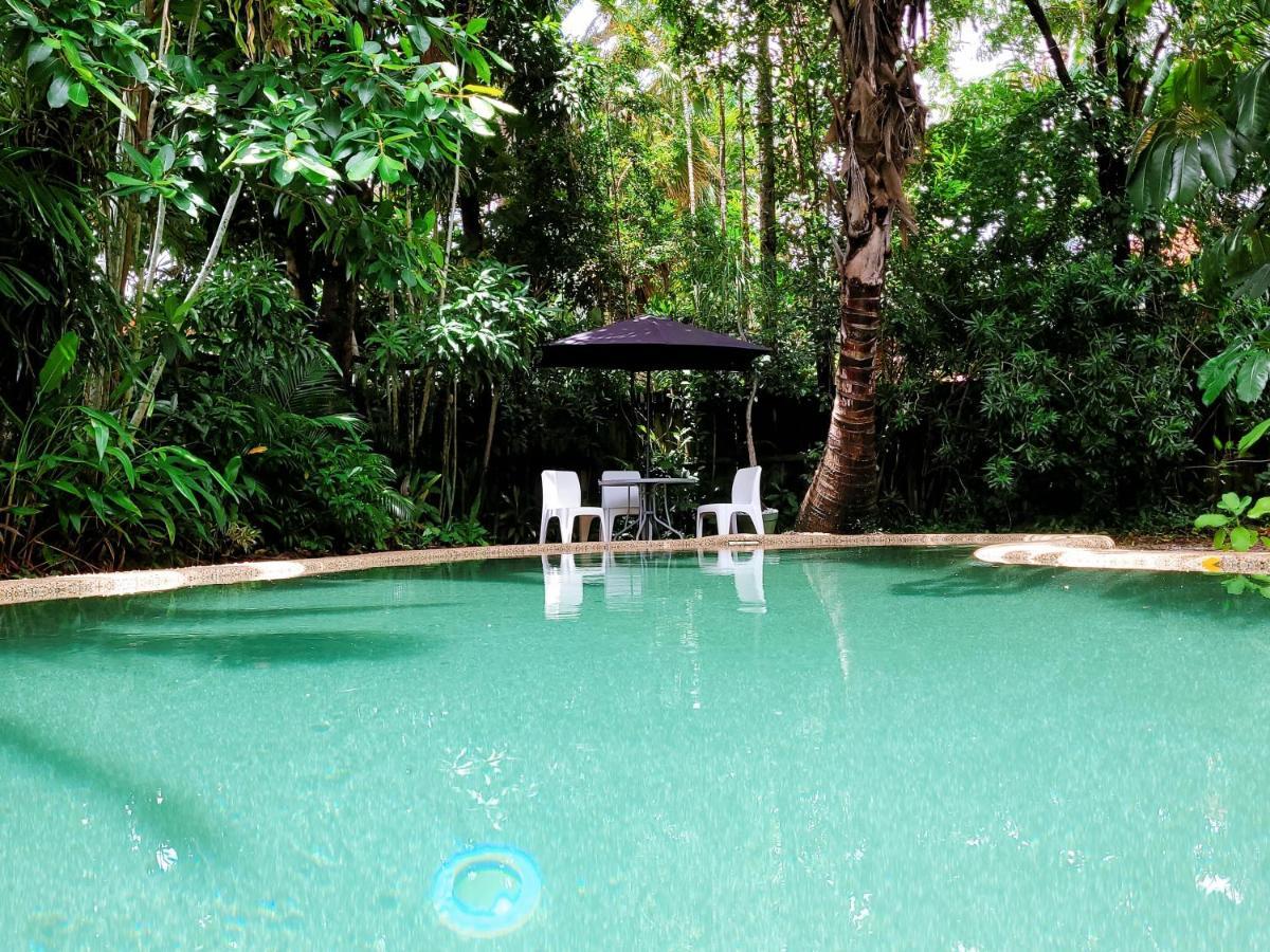 Travellers Paradise Cairns Eksteriør bilde The swimming pool at the Rainforest Ecolodge