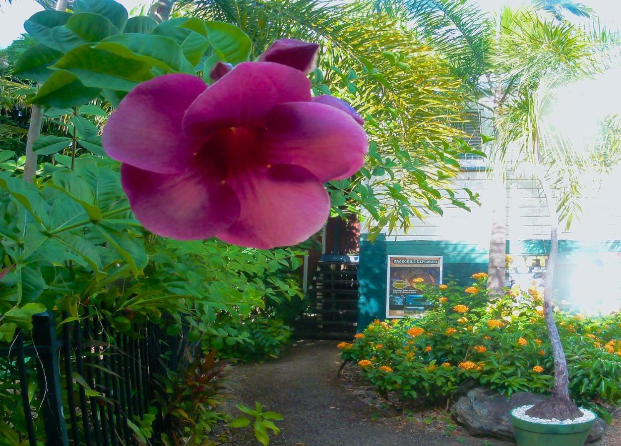 Travellers Paradise Cairns Eksteriør bilde A garden in Hawaii